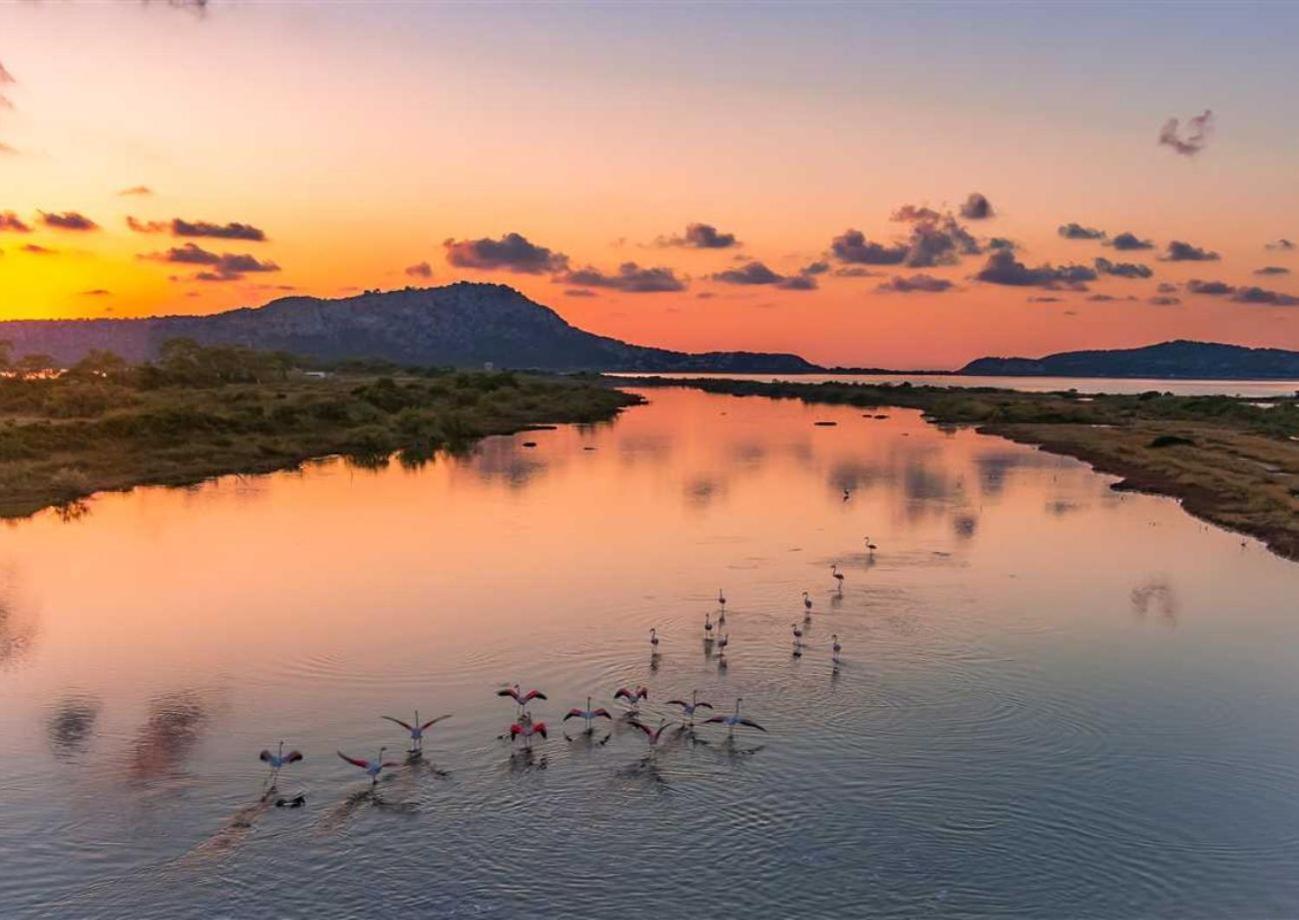 Panoraias Luxury Suite Kyparissía Eksteriør bilde